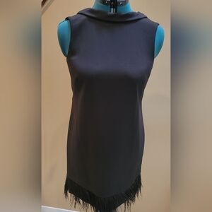 Ann Taylor. Black dress with feather trim. Size 10P.